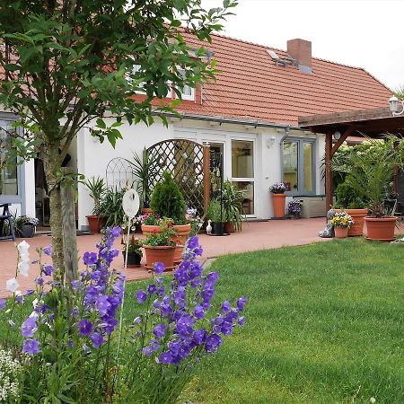 Pretty Apartment In Am Salzhaff With Fireplace Rakow Εξωτερικό φωτογραφία